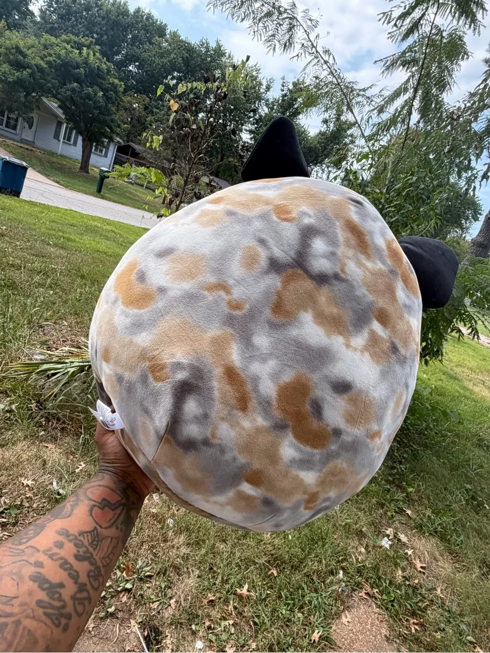 Ballis the French Bulldog Squishmallow